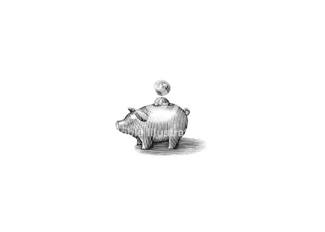 piggy bank